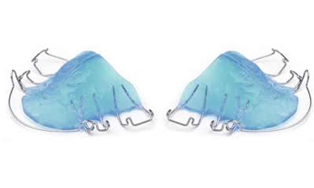 What is Removable Orthodontic Appliances Abdolreza Jamilian Orthodontist