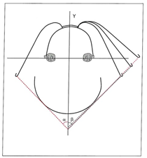 asymmetric force vector