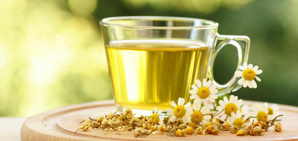 Chamomile tea and chamomile flowers for the treatment of oral aphthous