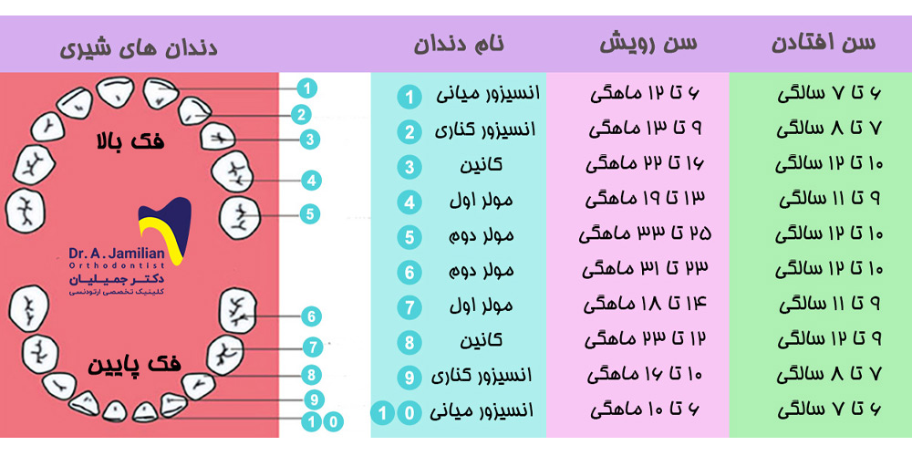 جدول زمان و سن رویش و افتادن دندان های شیری کودکان