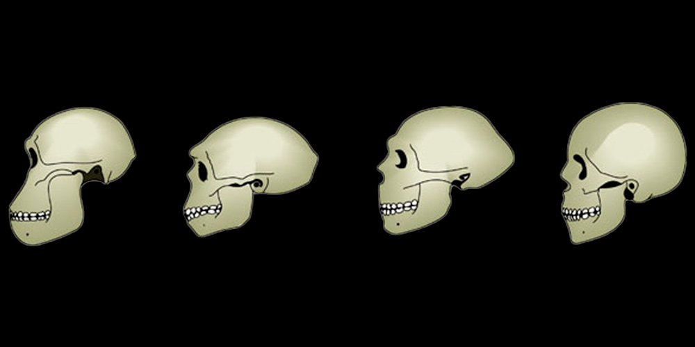 the process of changes in the human jaw and face over time